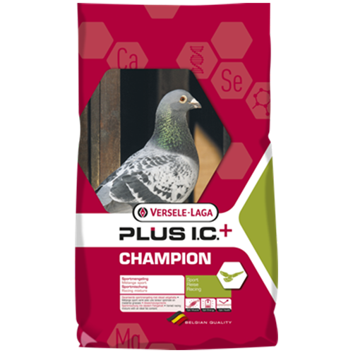 CHAMPION