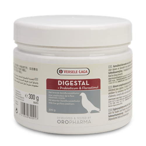 DIGESTAL