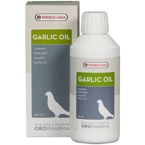 GARLIC OIL