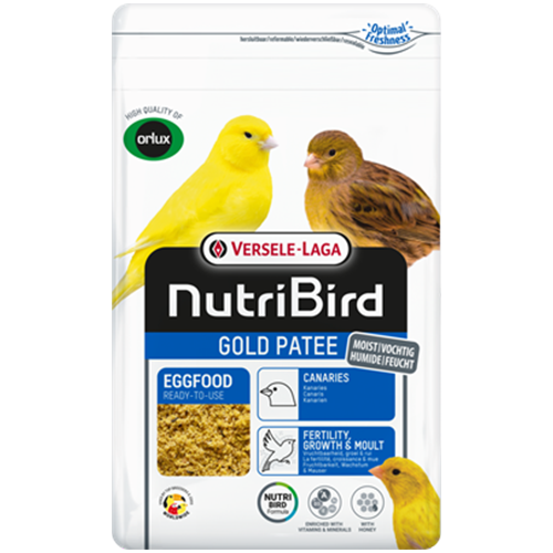 GOLD PATEE CANARIES