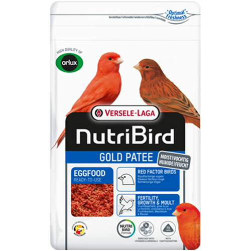 GOLD PATEE CANARIES RED