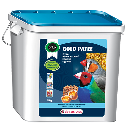GOLD PATEE PINZONES TROPICALES