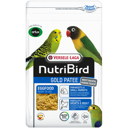 GOLD PATEE SMALL PARAKEETS