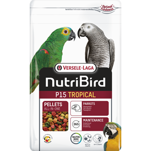 P15 TROPICAL