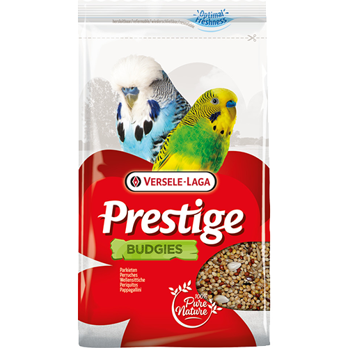 BUDGIES