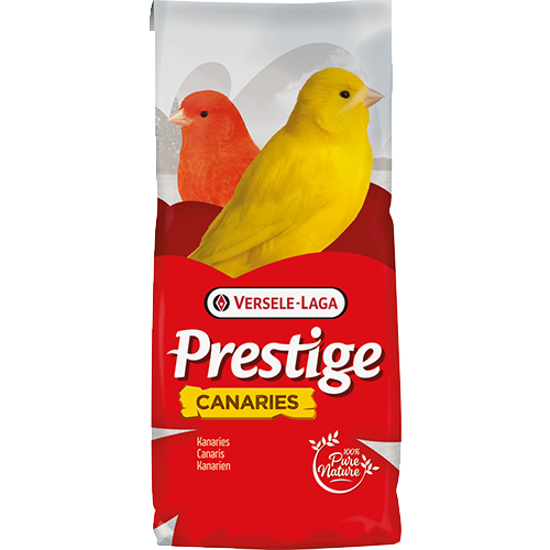 CANARIES